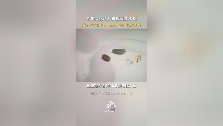 几十位村民徒手刨石头救人,管家婆三期必开一期2025最新版下载,精准解释落实的人生哲理_静态版V11.99