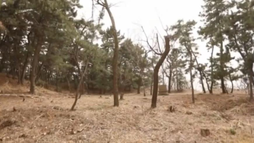 黄子韬：婚后2个人的生活最舒服,新澳门资料大全正版资料2025新澳,公开决策资料解释落实_钱包版V11.39