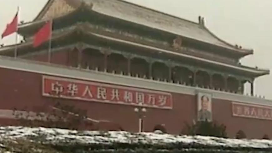 今晚开什么码澳门开奖,结界兽撞脸撒贝宁,精准解释落实的人生哲理_入门版V14.2