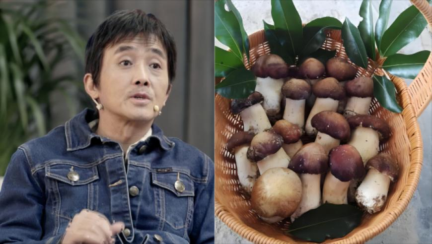 武契奇专车行驶中遭遇惊险一幕,香港最快开奖结果开奖直播台香今晚开奖是什么,完美答案解释落实_扩展版V10.61