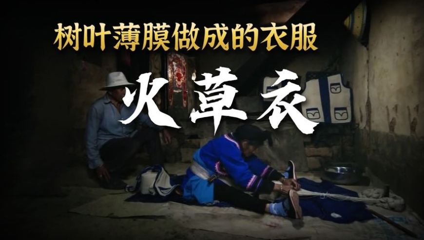 特朗普竞选集会跳舞39分钟,2025香港搅珠开奖结果444566,精准解释落实及其象征意义_破例版V7.25
