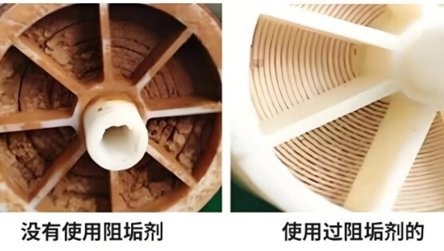 大16岁女友猝逝其子卖房下逐客令,2025澳门资料大全免费54期,公开决策资料解释落实_入门版V13.99