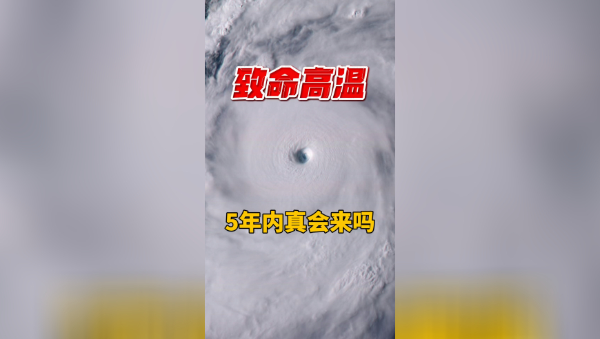 张晚意似锦皇子身份掉马,新澳门今天开奖结果查询表图片大全,决策资料解释落实_VR版V11.9